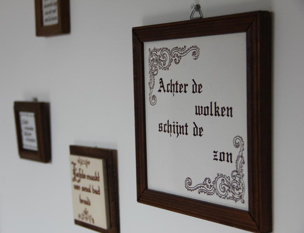 Boerderij De Zalm Bed and Breakfast Schalkwijk Εξωτερικό φωτογραφία